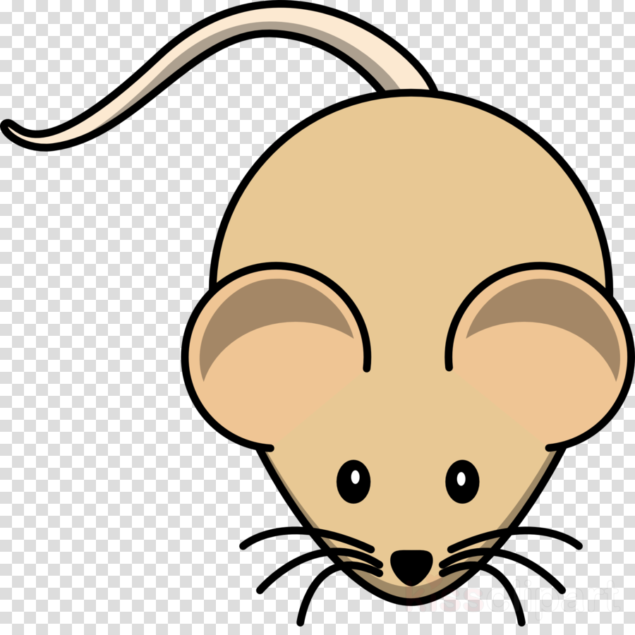 Mouse Clip Art Clipart Computer Mouse Clip Art - Mouse Clip Art Clipart Computer Mouse Clip Art (900x900)