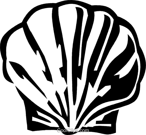 Scallop Shell - Scallop Shell (480x442)