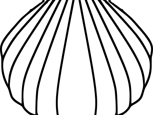 Drawn Shell Pilgrim X Dumielauxepices Net - Drawn Shell Pilgrim X Dumielauxepices Net (640x480)