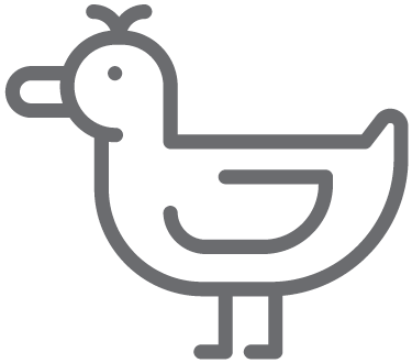 This Is A Working Farm With Lots Of Feathery Friends, - This Is A Working Farm With Lots Of Feathery Friends, (472x472)