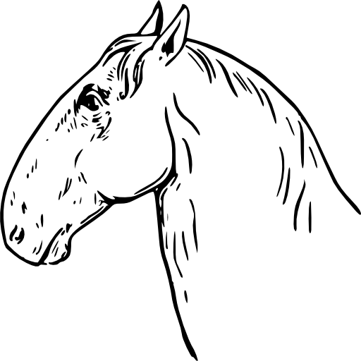 Ram Headed Horsehead - Ram Headed Horsehead (512x512)