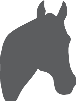 Chalkboard Horse Head Wall Art Wall Quotes Wall Decal - Chalkboard Horse Head Wall Art Wall Quotes Wall Decal (450x450)