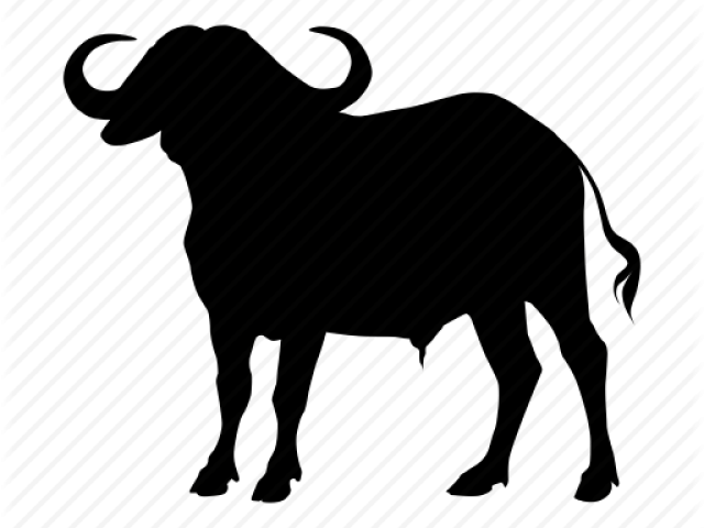 Water Buffalo Clipart Buffalo Calf - Water Buffalo Clipart Buffalo Calf (640x480)