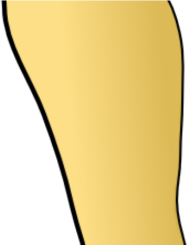 Legs Clipart Leg Calf - Legs Clipart Leg Calf (640x480)