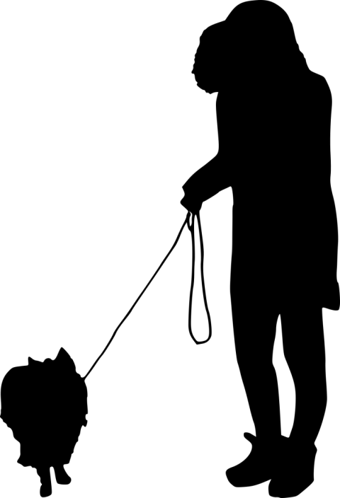 Dog Walking Silhouette Png - Dog Walking Silhouette Png (480x704)