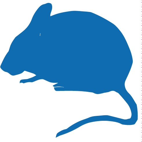 Facilities - Facilities (500x500)