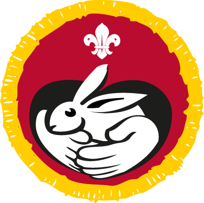 Animal Carer Activity Badge - Animal Carer Activity Badge (400x397)
