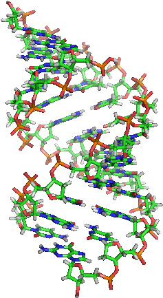 Ensuring Privacy For Genomics Data With K Disease Categories - Ensuring Privacy For Genomics Data With K Disease Categories (331x478)