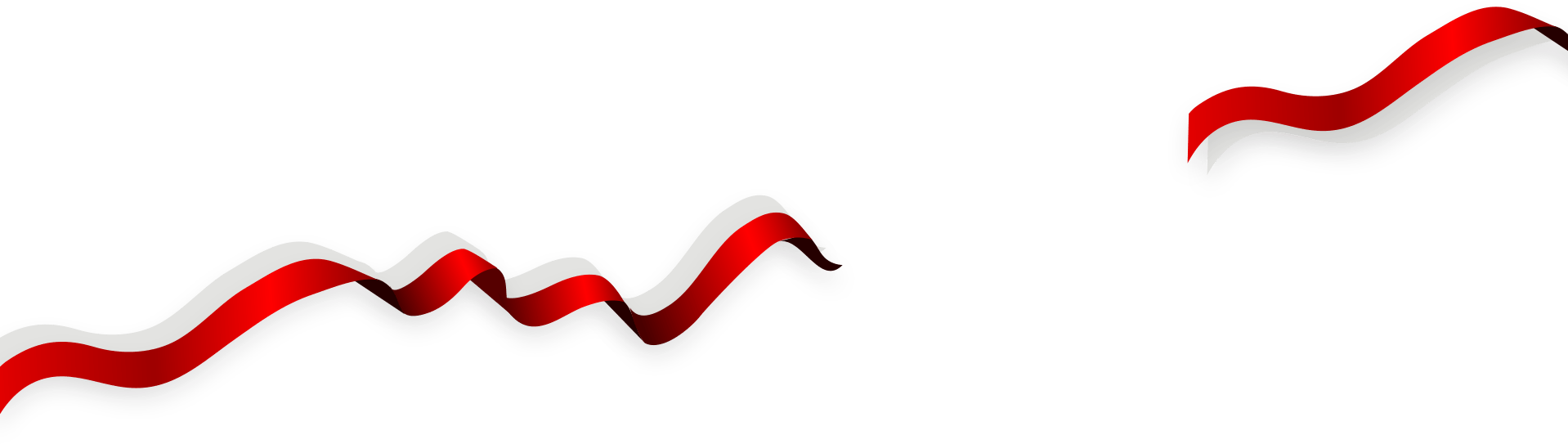 Ballot Trace - Ballot Trace (1918x543)