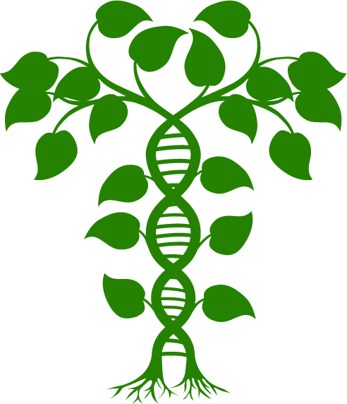 Reasons Why To Hire A Certified Arborist In Fort Worth - Reasons Why To Hire A Certified Arborist In Fort Worth (492x572)