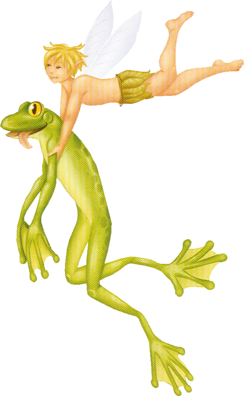Frog And Fairy - Frog And Fairy (493x800)
