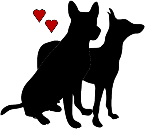 Dog Training, Cumbria, Dog, Dogs, Training, Dog Grooming, - Dog Training, Cumbria, Dog, Dogs, Training, Dog Grooming, (543x441)