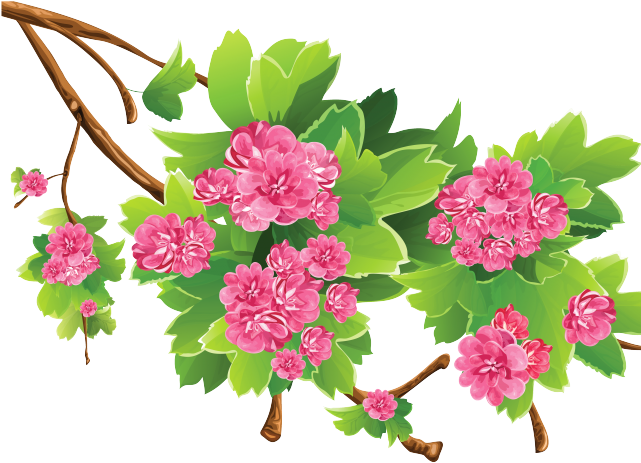 Floral Clipart Spring - Floral Clipart Spring (640x480)