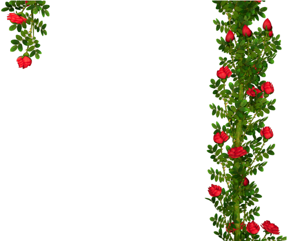 Rose Bush Clipart Clip Art Rose - Rose Bush Clipart Clip Art Rose (640x480)