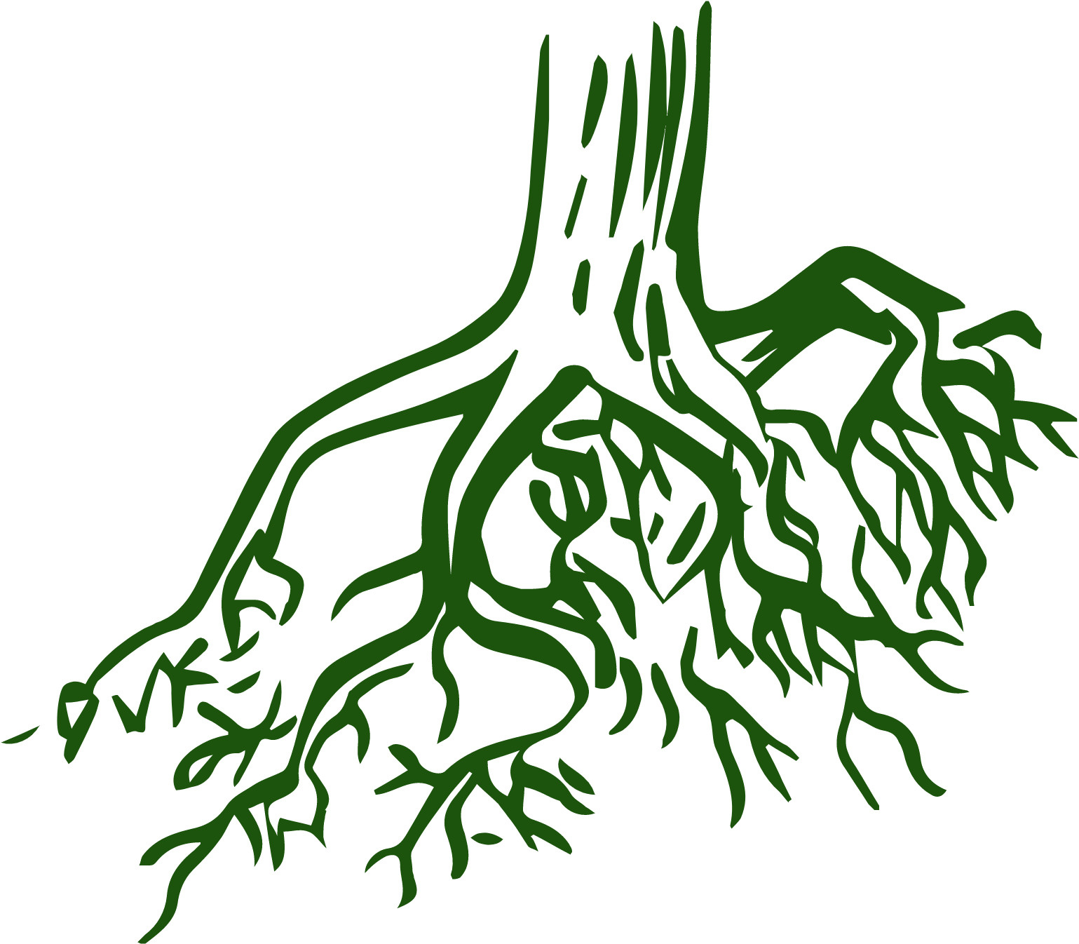 Tree roots
