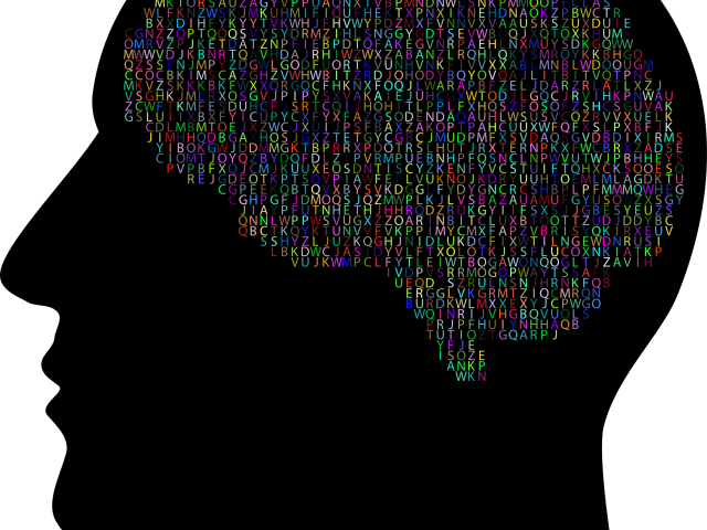 Brains Clipart Man - Brains Clipart Man (640x480)