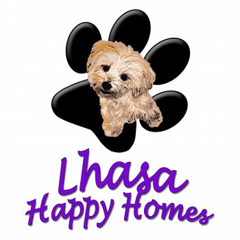 Lhasa Happy Homes Rescue Inc - Lhasa Happy Homes Rescue Inc (350x350)