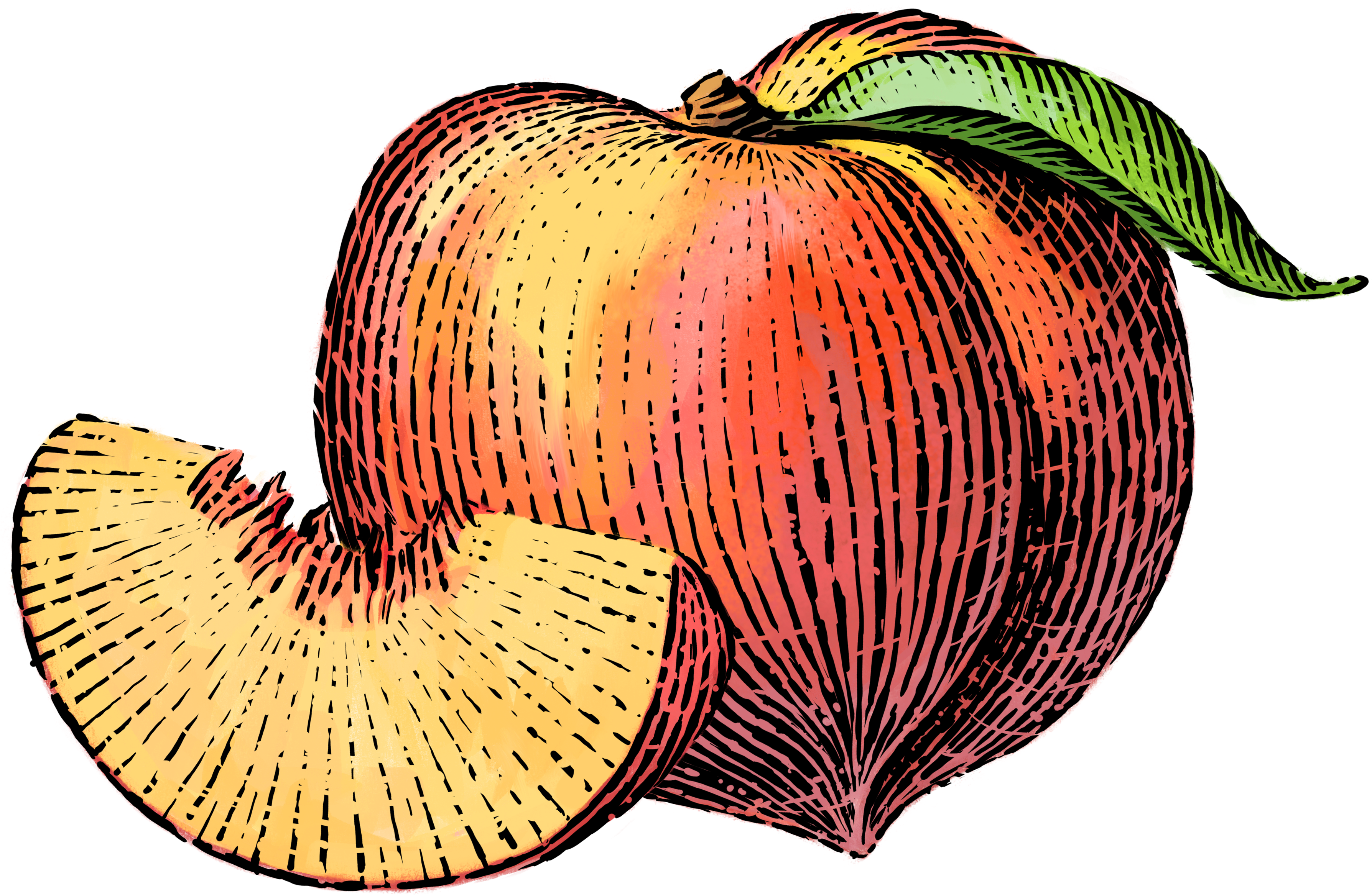 Clipart Free Download Nutrition Clipart Mixed Fruit - Clipart Free Download Nutrition Clipart Mixed Fruit (4562x2633)