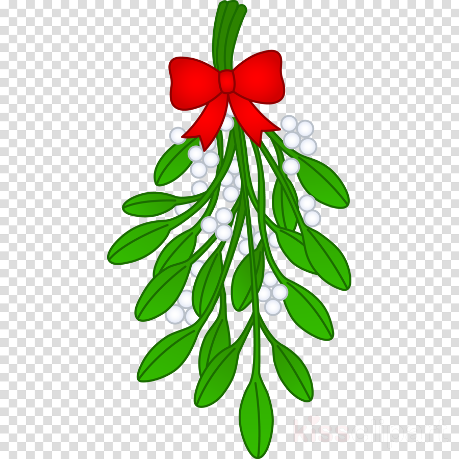 Mistletoe Clipart Christmas Mistletoe Clip Art - Mistletoe Clipart Christmas Mistletoe Clip Art (900x900)