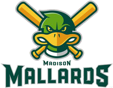 Used In Our Silent Auction, Which Have Raised Thousands - Used In Our Silent Auction, Which Have Raised Thousands (375x375)