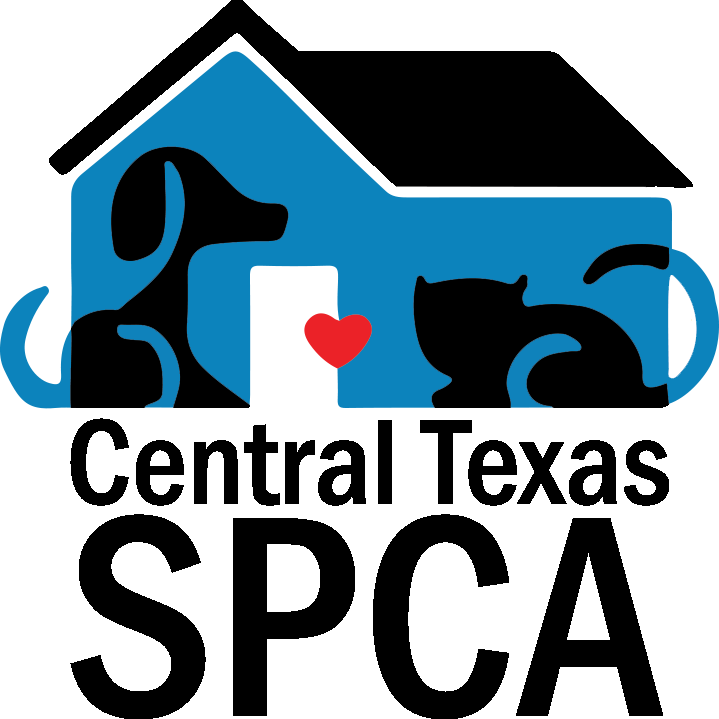 Click Here To Volunteer Questions About Children's - Click Here To Volunteer Questions About Children's (719x719)