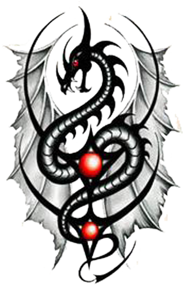 Tribal Dragon Tattoos - Tribal Dragon Tattoos (400x560)