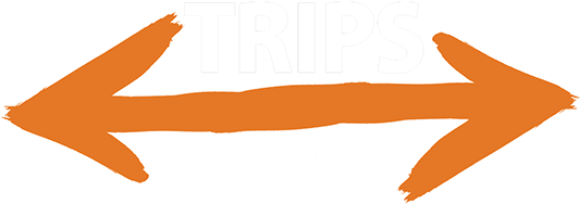 Throughout The Year*, We Offer A Variety Of Trips, - Throughout The Year*, We Offer A Variety Of Trips, (540x230)