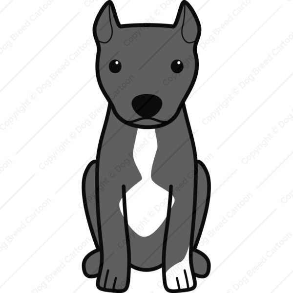 American Pitbull Terrier Cropped Ears - American Pitbull Terrier Cropped Ears (600x600)