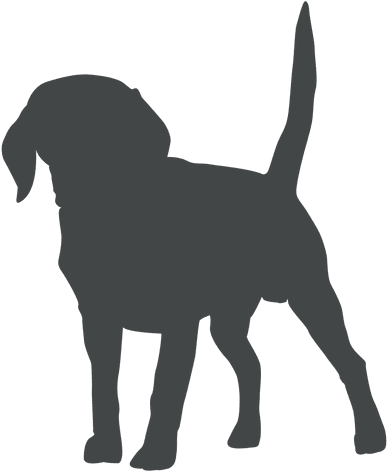 Puppy Silhouette Posing Transparent Png Svg - Puppy Silhouette Posing Transparent Png Svg (512x512)