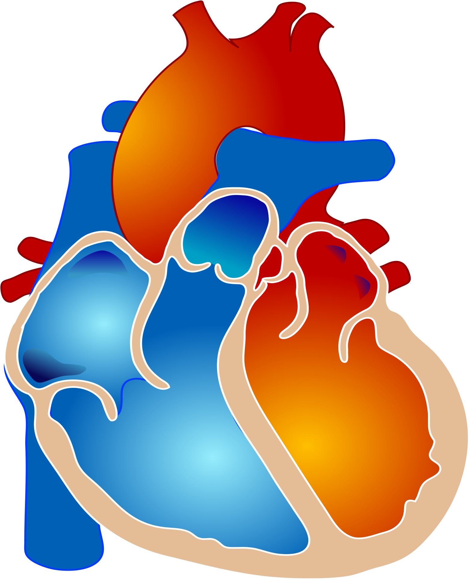 Healthy-heart - Healthy-heart (2000x2000)
