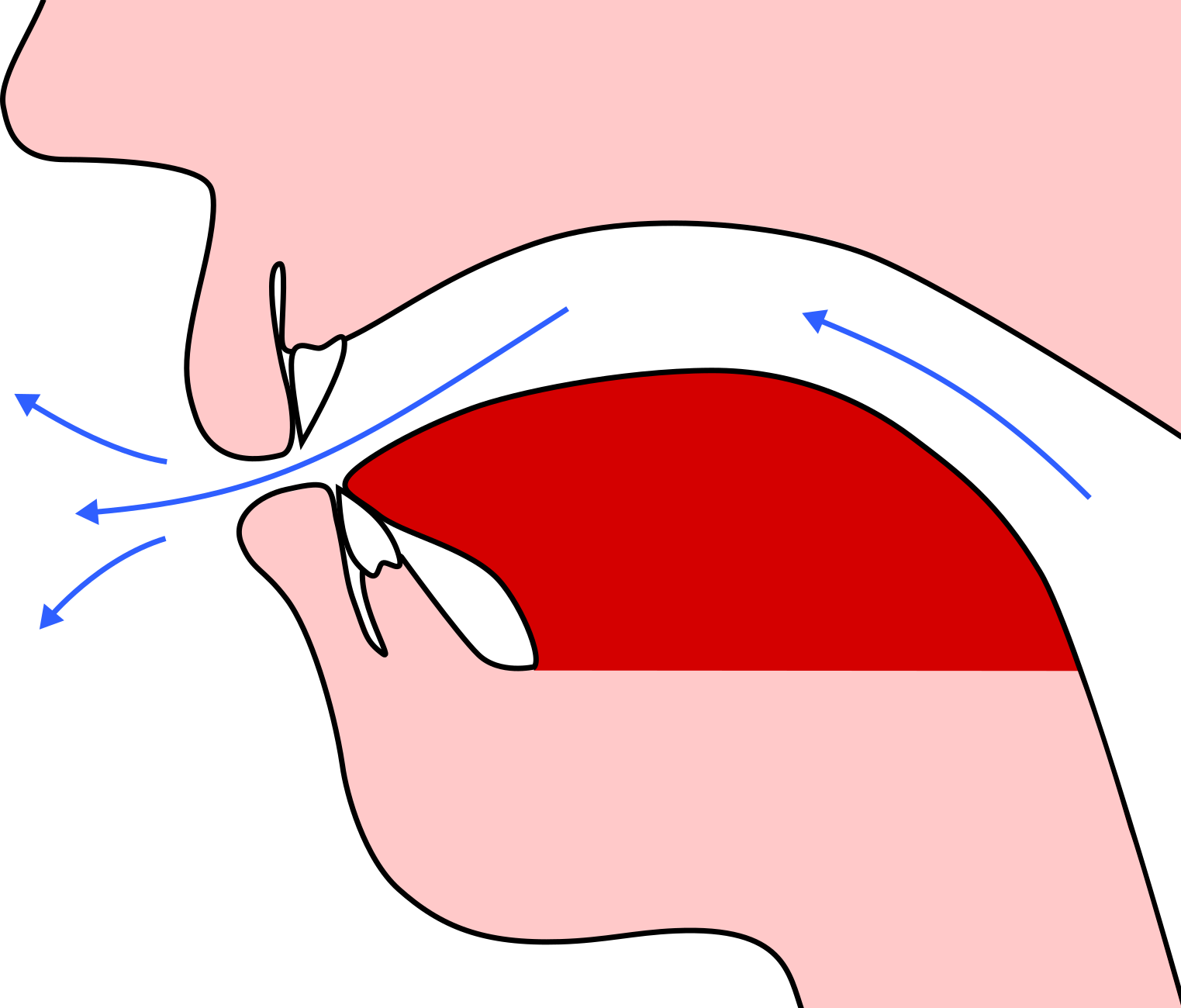 Tongue Lowered - Tongue Lowered (1523x1300)