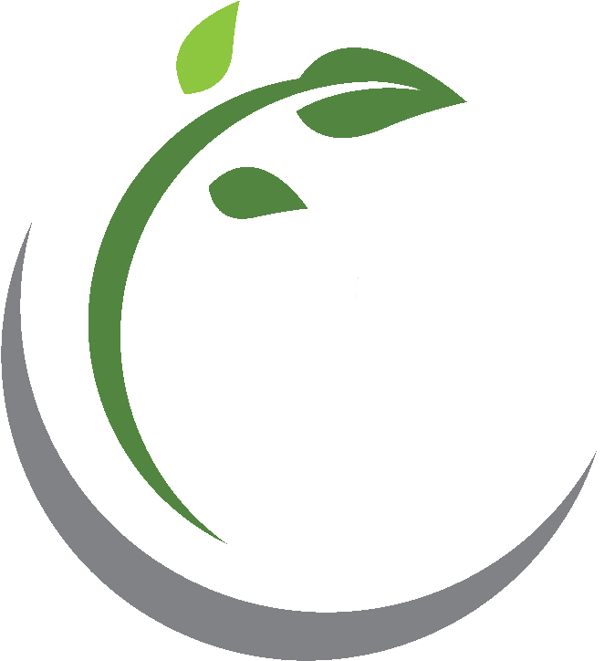 Clarinet Quartet - Clarinet Quartet (721x788)