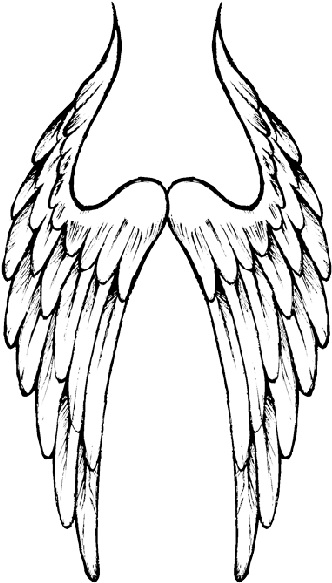 Angel Wings Hd Image Png Images - Sketch (349x600)