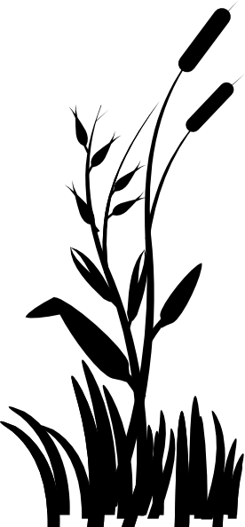 Cattail Large Clip Art - Grass Flat Design Png (276x594)