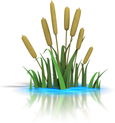 Pond Transparent Png Pictures - Pond Clip Art (400x400)