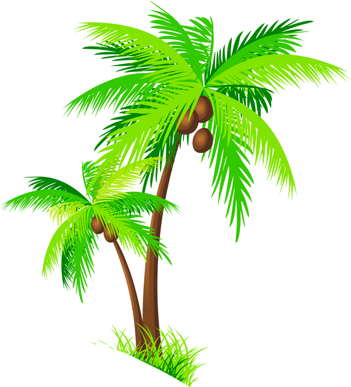Clipart Of Coconut Tree Palm Nariyal Pencil And In - Clip Art (1280x800)