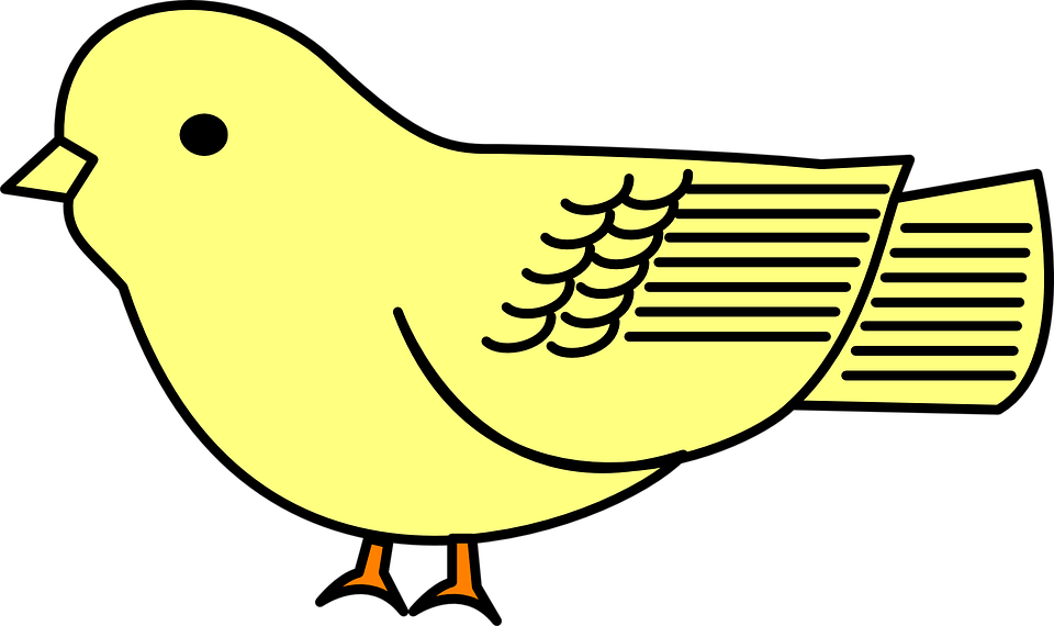 Yellow Cartoon Bird Png (960x570)