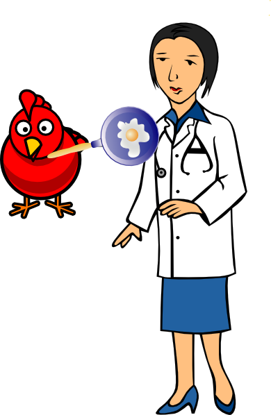 Doctor With Hen And Egg Clip Art - Doctor Clip Art (390x598)