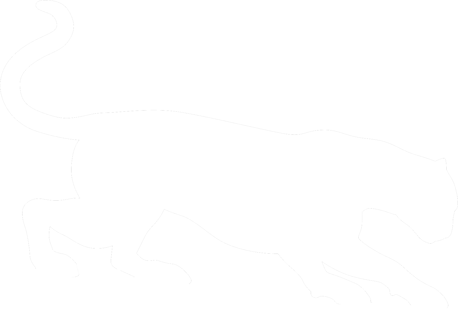 Cougar Clipart Tail - Cougar Stencil (1608x1088)