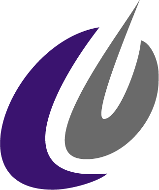 Engineered Software Inc - Engineered Software Inc (323x385)