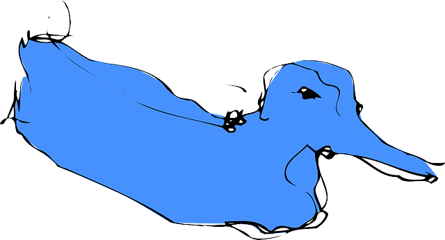 Animal Blue, Simple, Sketch, Bird, Duck, Style, Art, - Blue Duck (640x346)