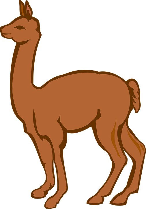 Alpaca Clipart Transparent - Lama Clip Art (506x720)