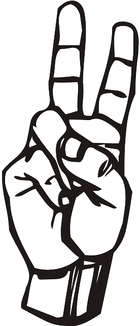 Vítězství Prsty - Letter V In Sign Language (320x640)