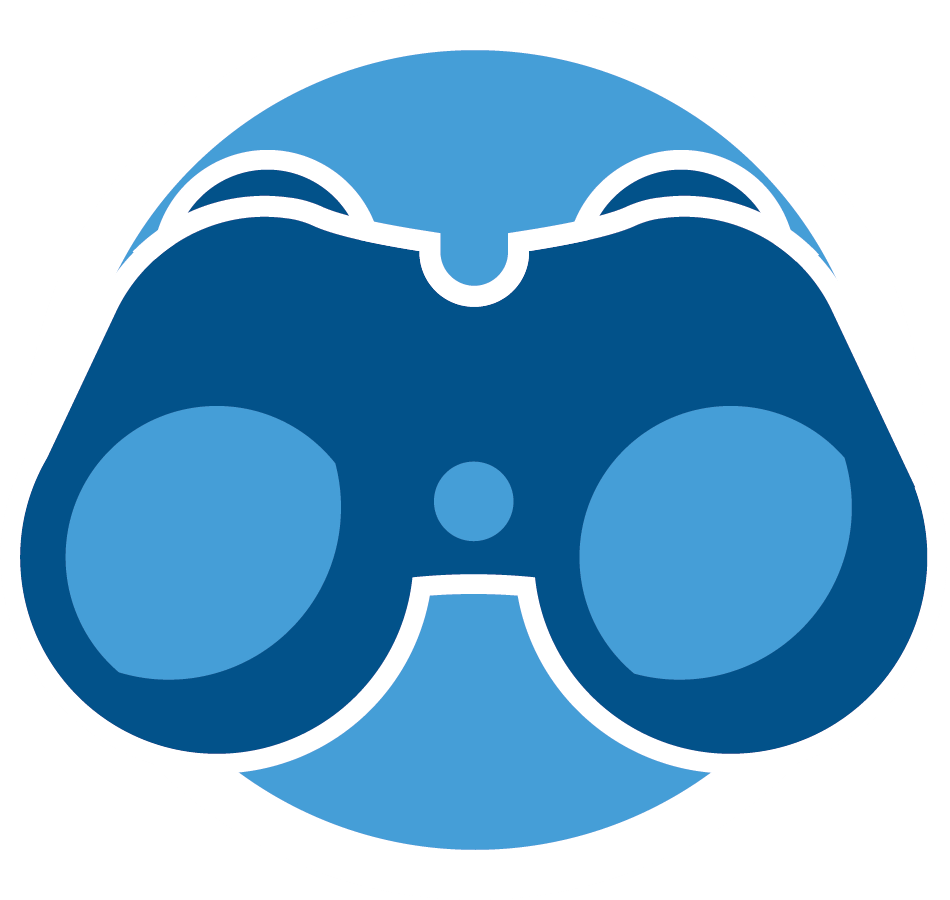 How Can Seo Help Me Make My Website More Visible - Supply Chain Visibility Icons (950x900)