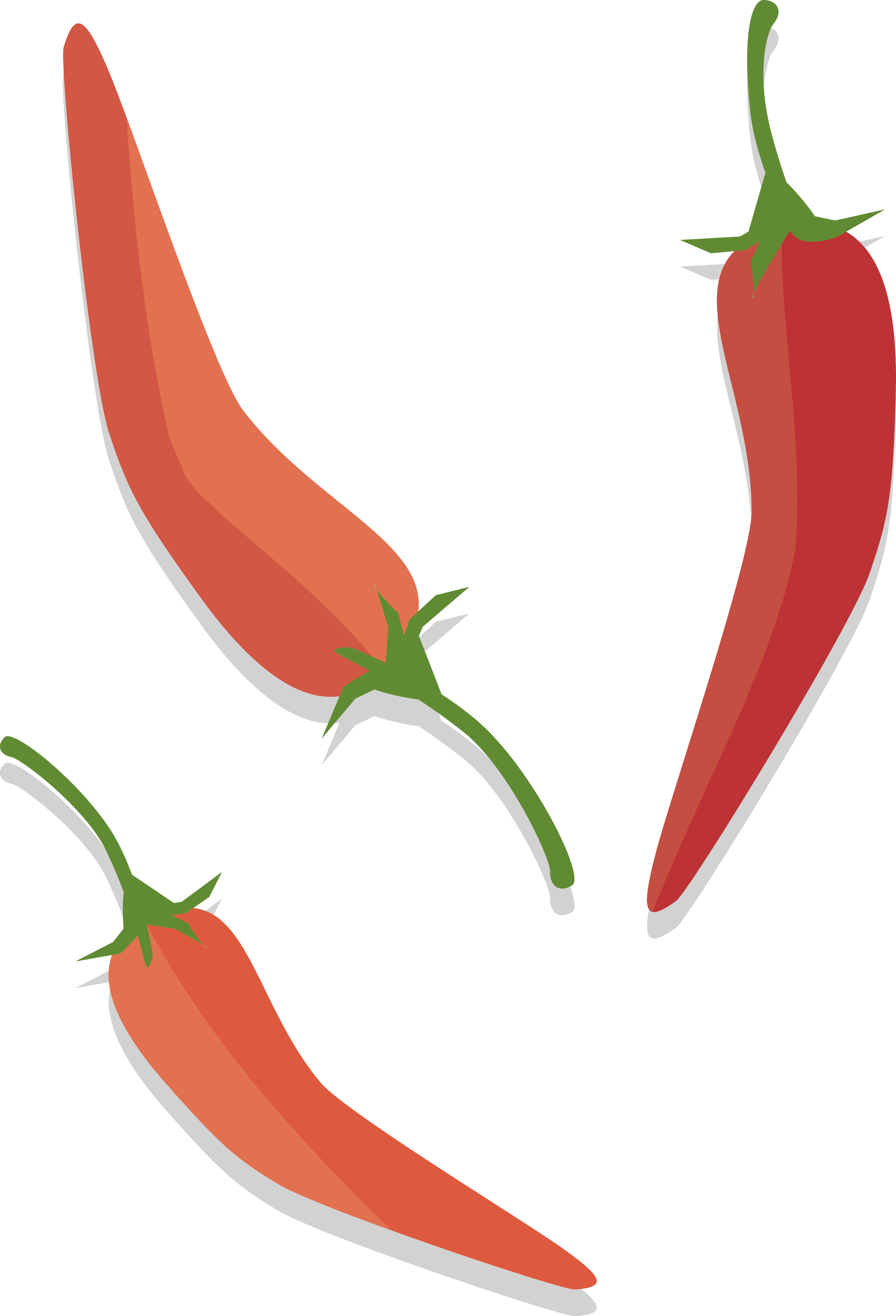 Tabasco Pepper Birds Eye Chili Serrano Pepper Cayenne - Sweet And Chili Peppers (2330x3422)