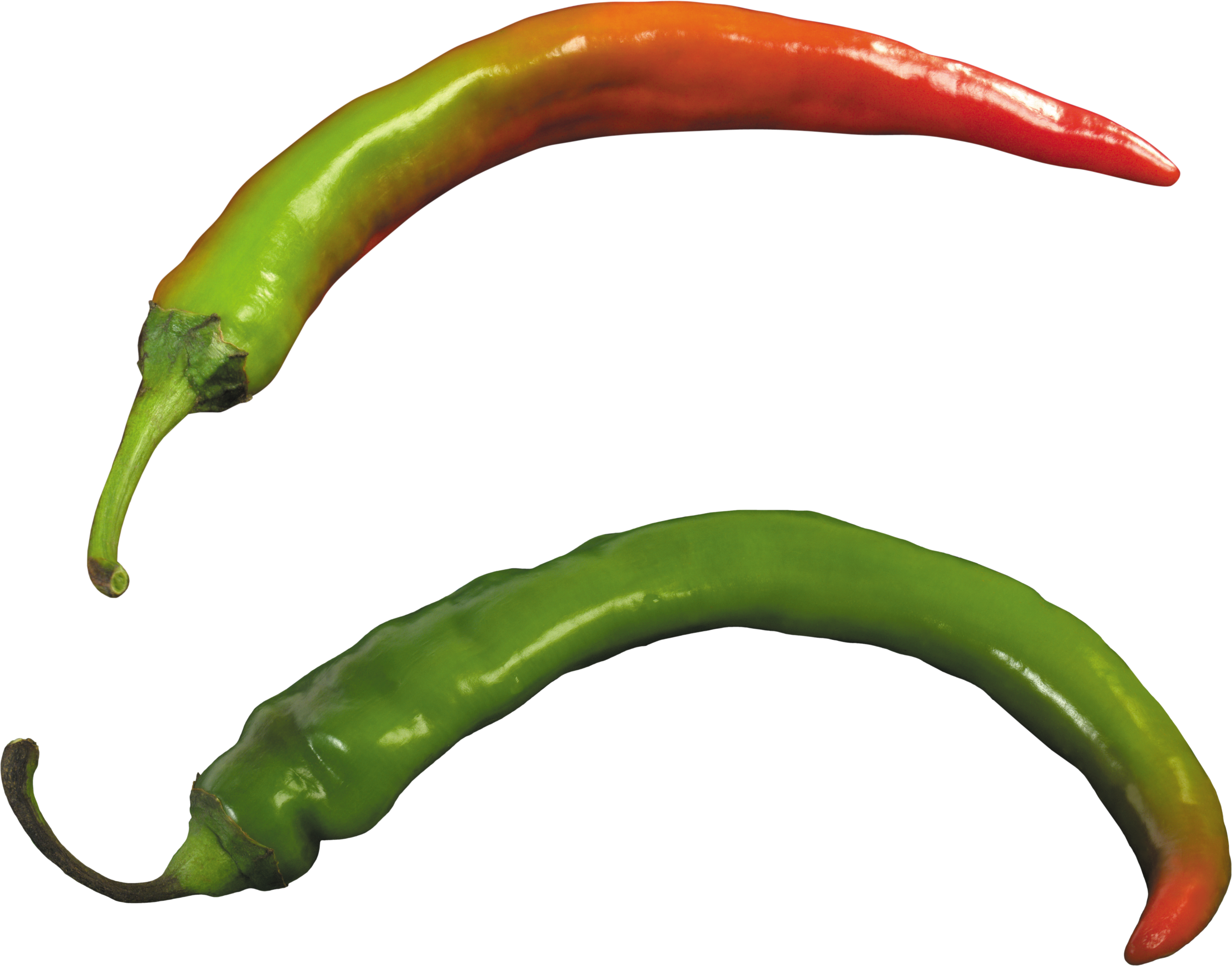 Pepper - Green Hot Pepper Png (3637x2851)