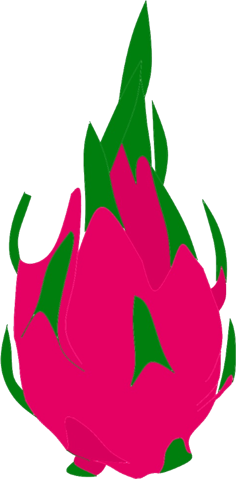 Pitaya Fruit Chili Pepper Clip Art - Pitaya Fruit Chili Pepper Clip Art (520x1000)