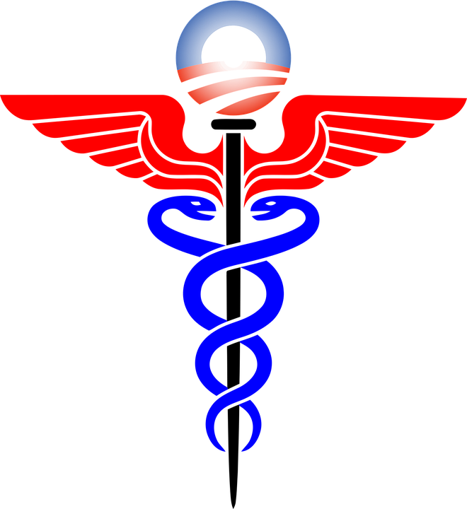 My Wordpress Website - Medical Symbol (660x720)