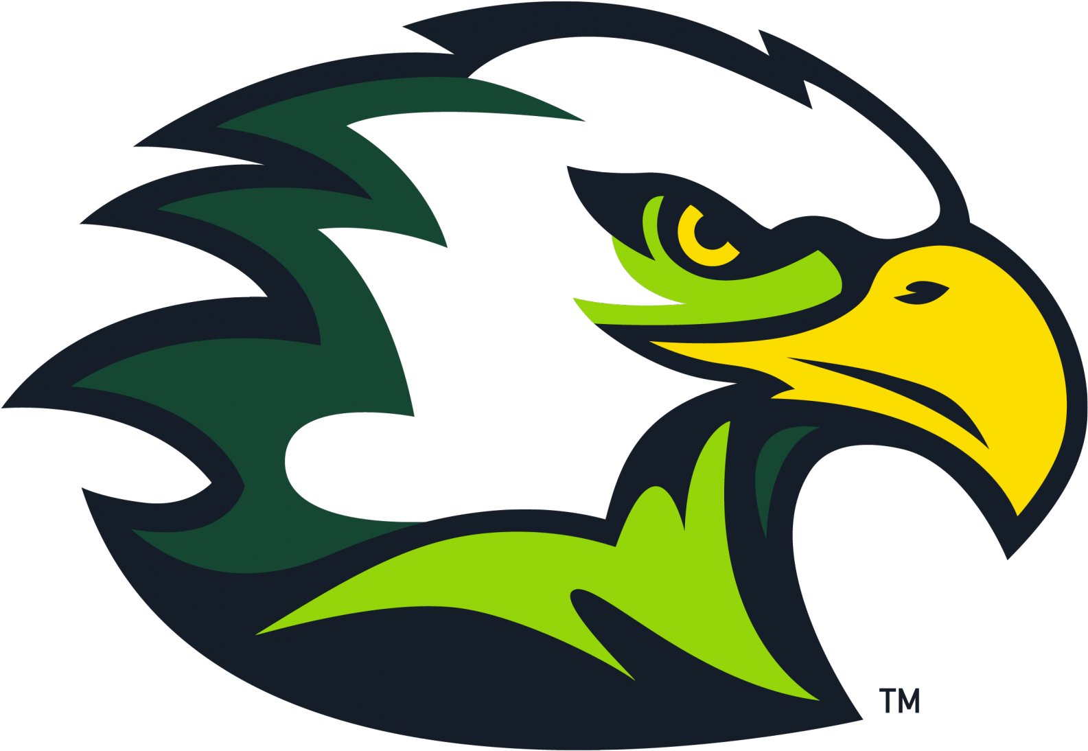 2015 16 Mid South Conference - Life University Eagles (1800x1176)