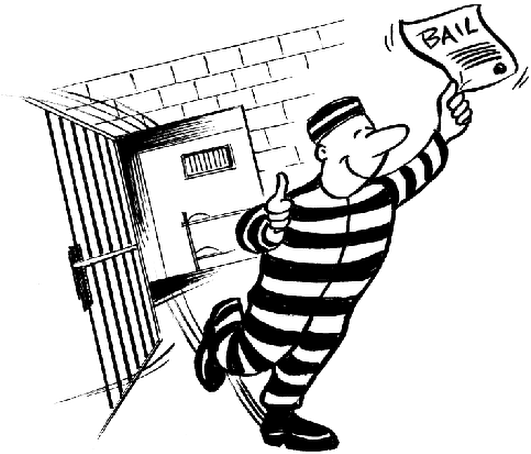 Let's Assume That An Individual Named 'z' Has Been - Excessive Bail Shall Not Be Required Nor Excessive (530x476)